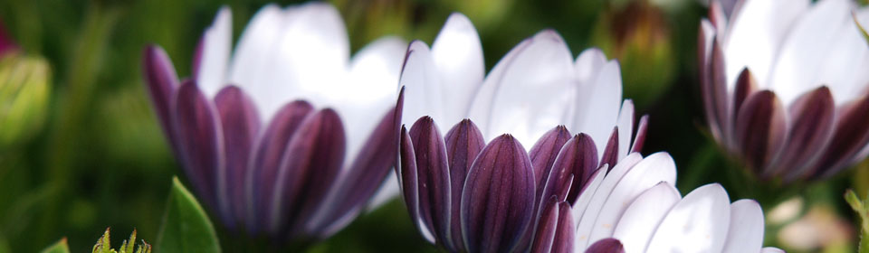 手机号炸弹防护业务