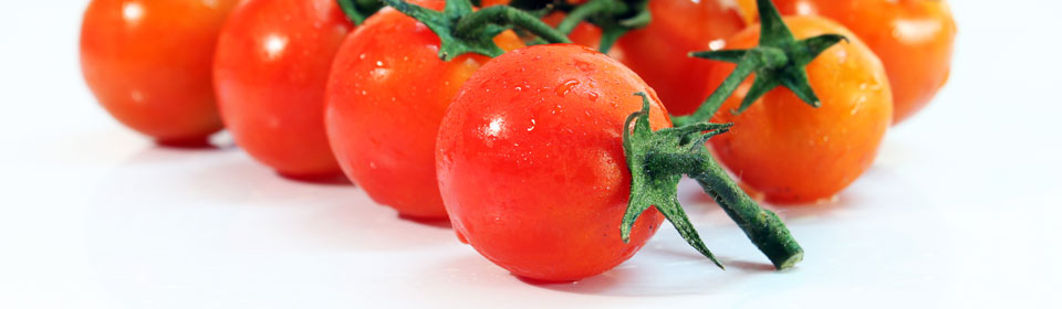 打爆别人短信的软件